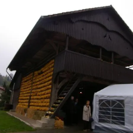Marincic 3*